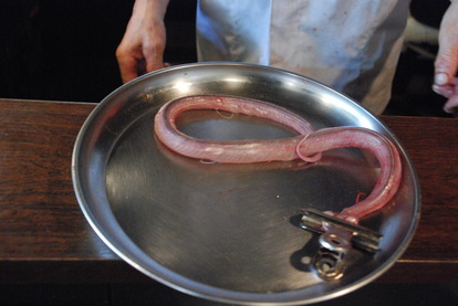 ジャパンスネークセンター (11)