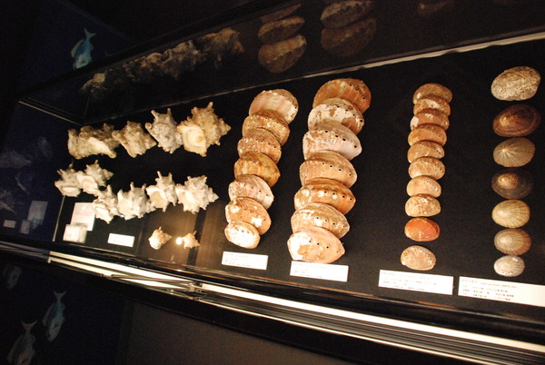 ぱれらめーる (14)