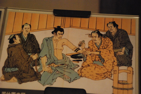 明治大学博物館 (38)