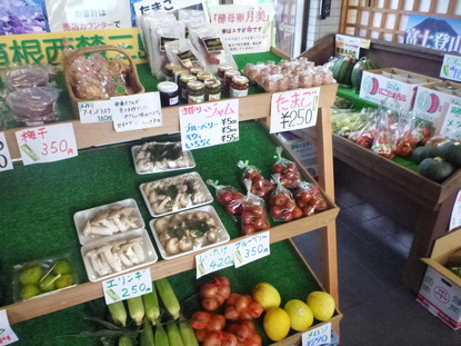 道の駅・箱根峠 (5)