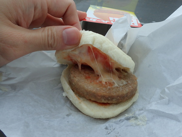 秋田県立スケート場 (13)