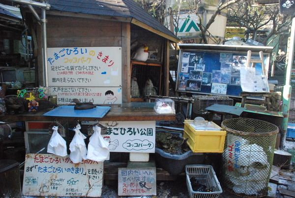 宮ヶ瀬コッコランドパーク (6)