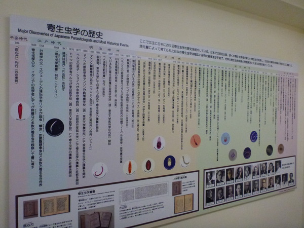 目黒寄生虫館 (43)