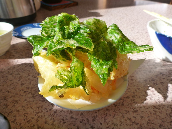 地魚さくら (10)