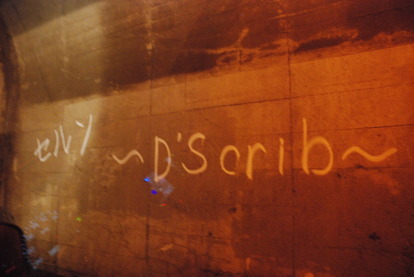 白倉トンネル (11)