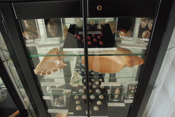 ぱれらめーる (5)