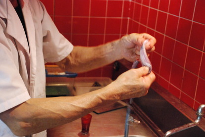 ジャパンスネークセンター (8)