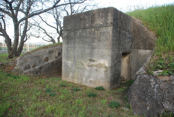 第21海軍航空隊 (11)