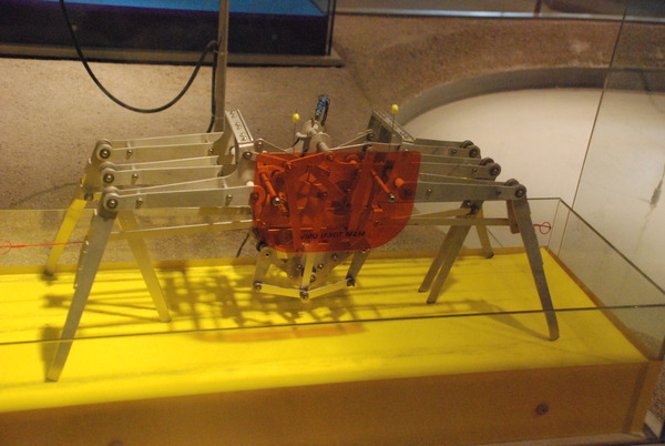 東海大海洋生物博物館 (27)