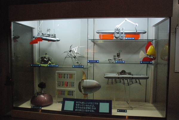 東海大海洋生物博物館 (24)