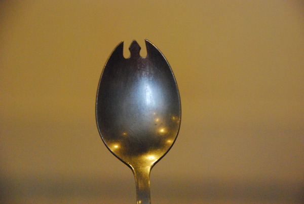 がっこーにいこう (15)