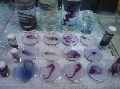 箱根園水族館 (24)