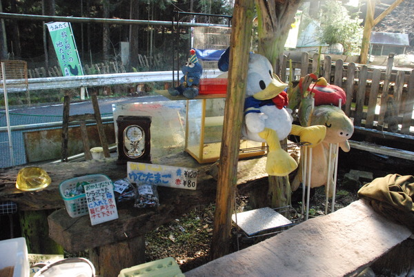 宮ヶ瀬コッコランドパーク (8)