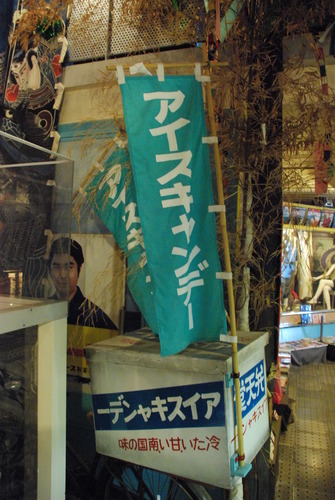 怪しい少年少女博物館 (8)