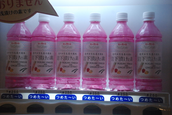 岩下の新生姜ミュージアム (6)