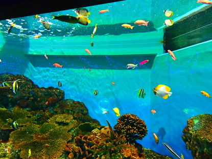 箱根園水族館 (121)
