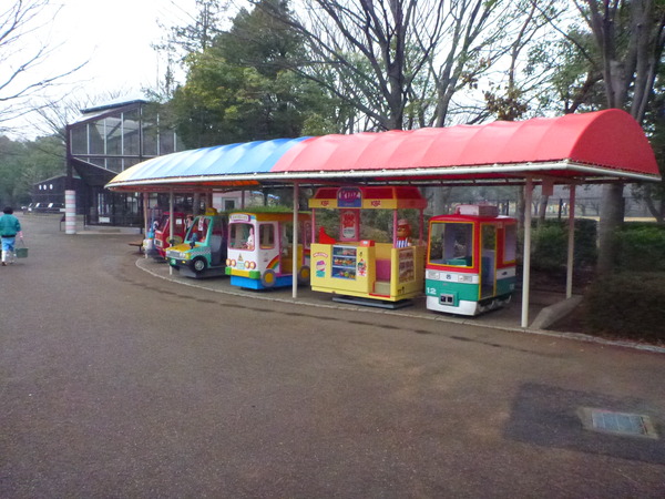 平塚市ふれあい動物園 (6)
