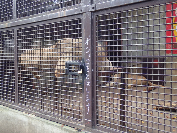 宇都宮動物園 (7)