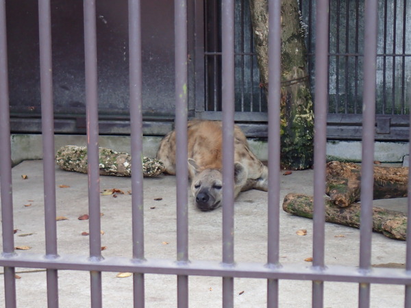 宇都宮動物園 (2)