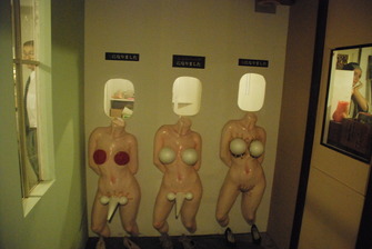 まぼろし博覧会 (95)