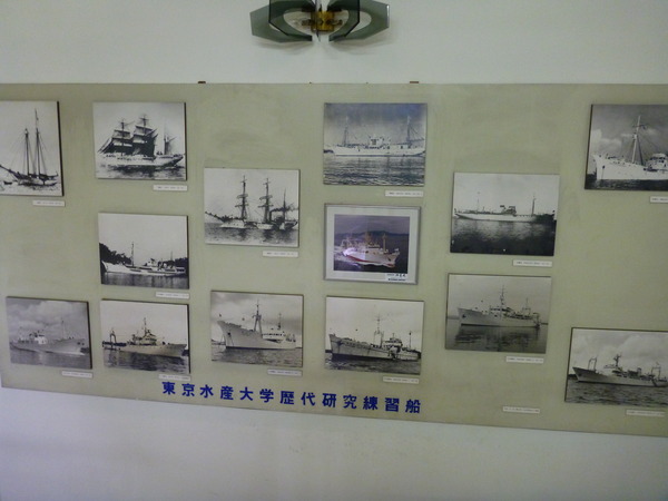 東京海洋大学 水産資料館 (10)