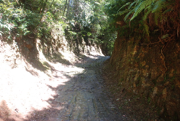 ハニベ巌窟院 (53)