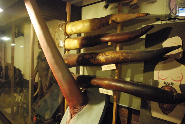 まぼろし博覧会 (101)